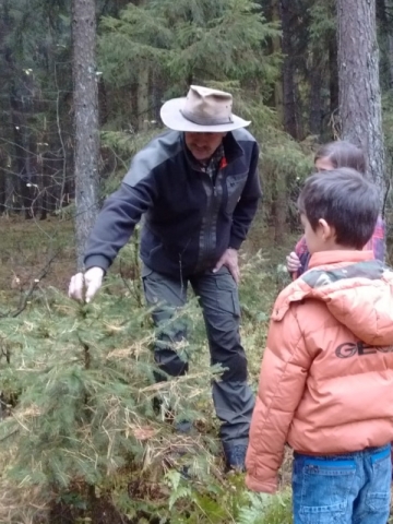 Wald 1