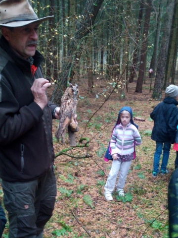 Wald 5