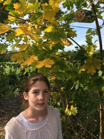 Hoffentlich haben wir viele Gäste