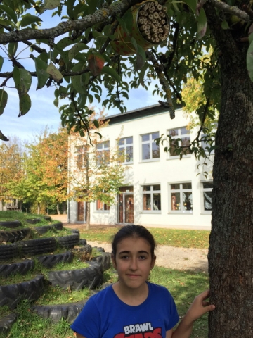 Hotelzimmer in luftiger Höhe